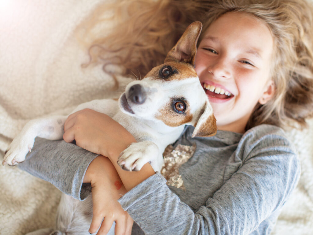 Design for pets