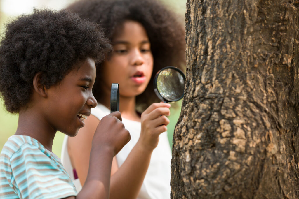 stem through nature